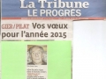 2015-01-01-voeux_marras.jpg