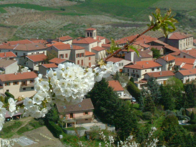 Bourg