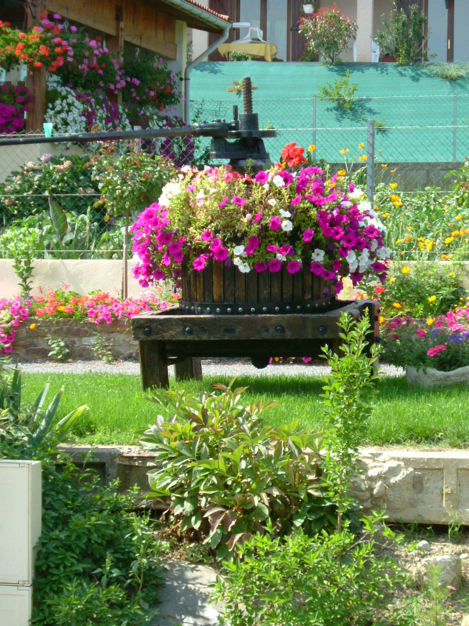 DSCF0226