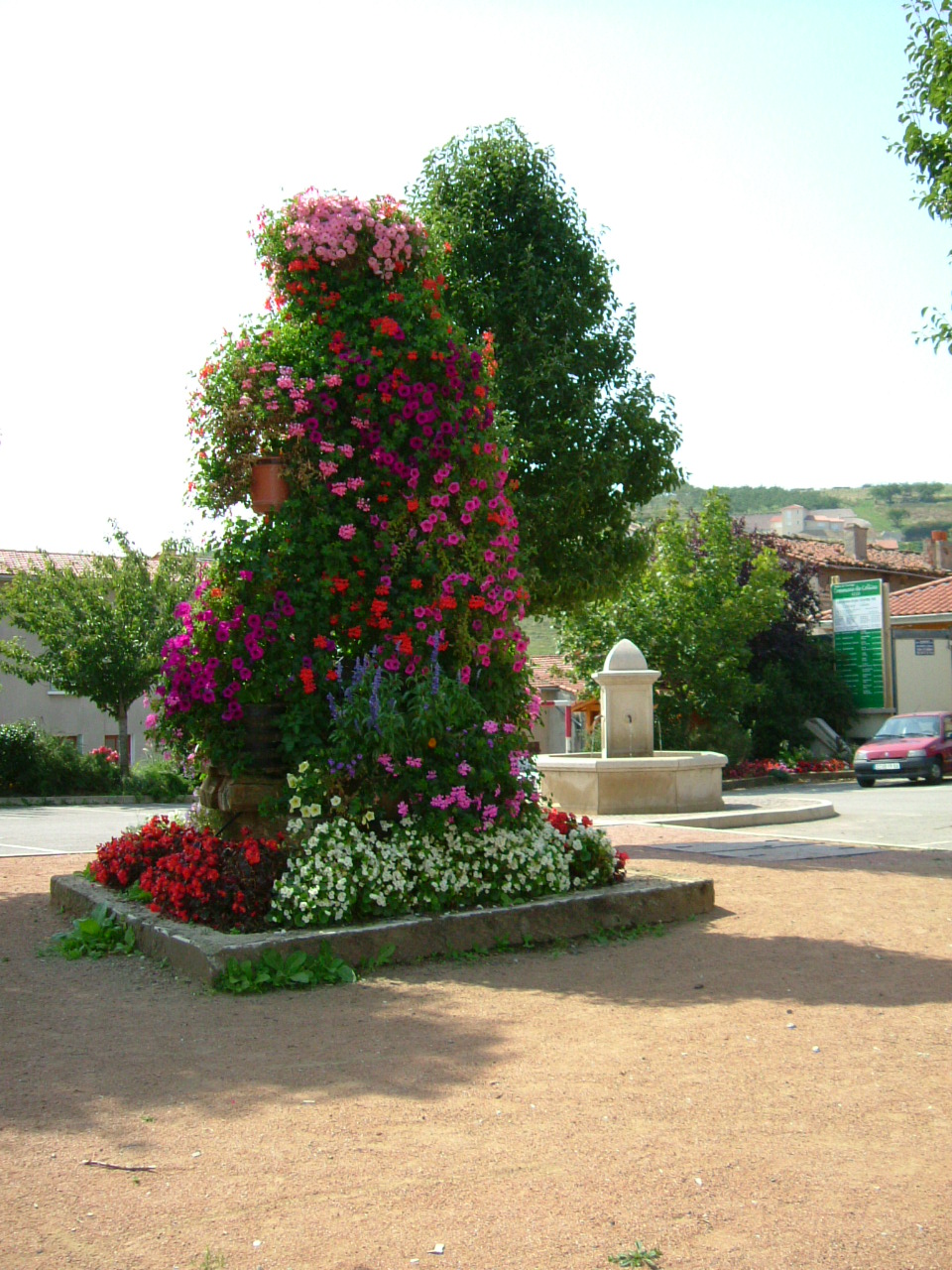DSCF0227
