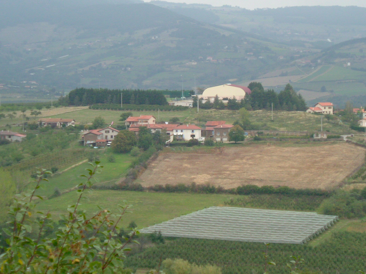 DSCF0265