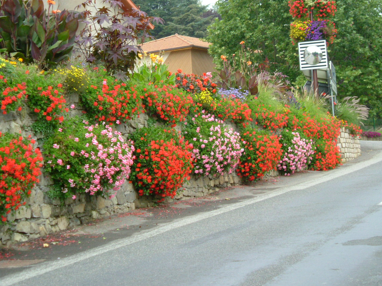 DSCF0270