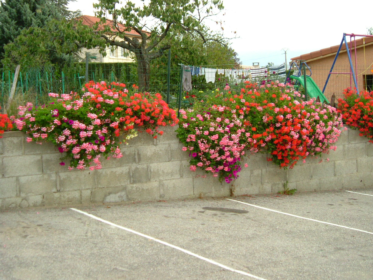 DSCF0286