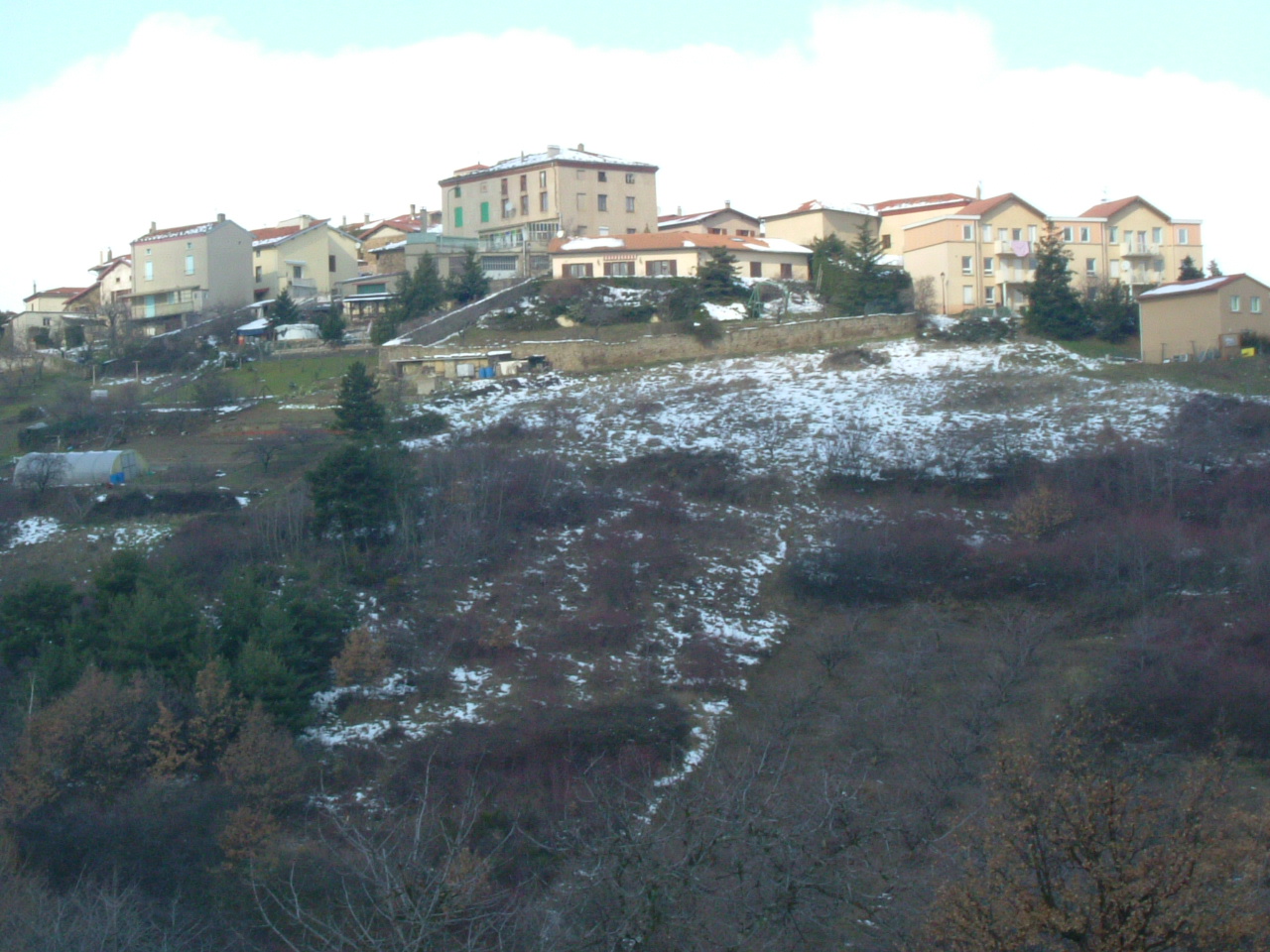 DSCF0584