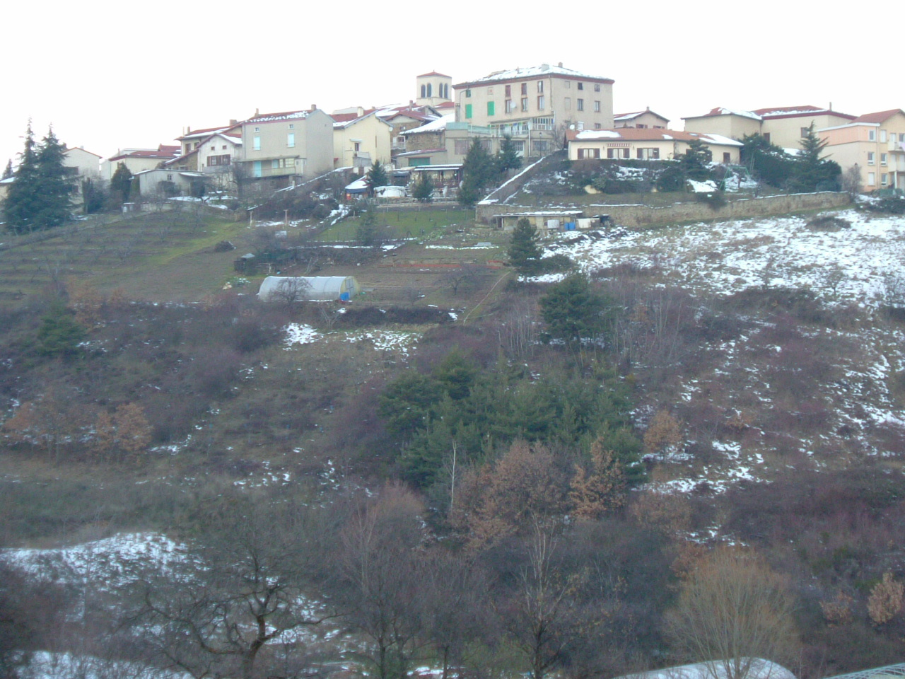 DSCF0586