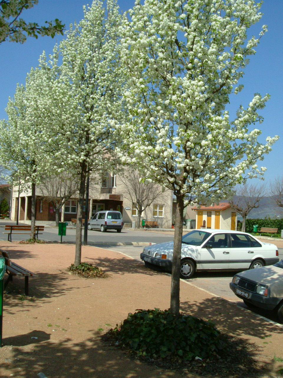 DSCF0678