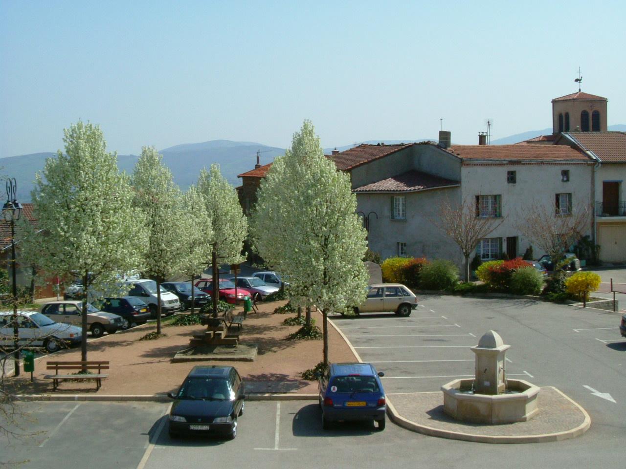 DSCF0681