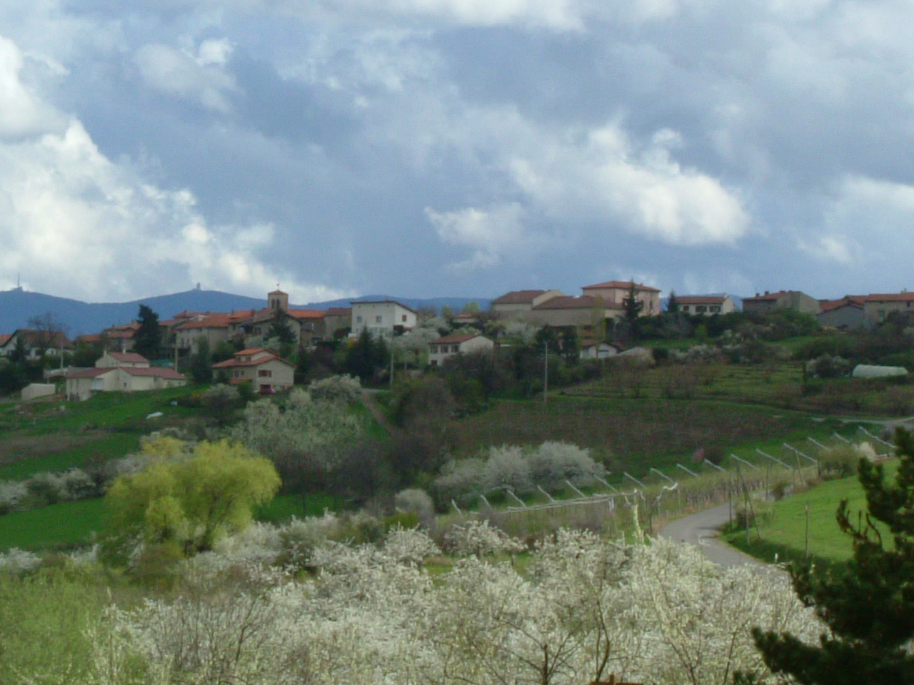 DSCF0698
