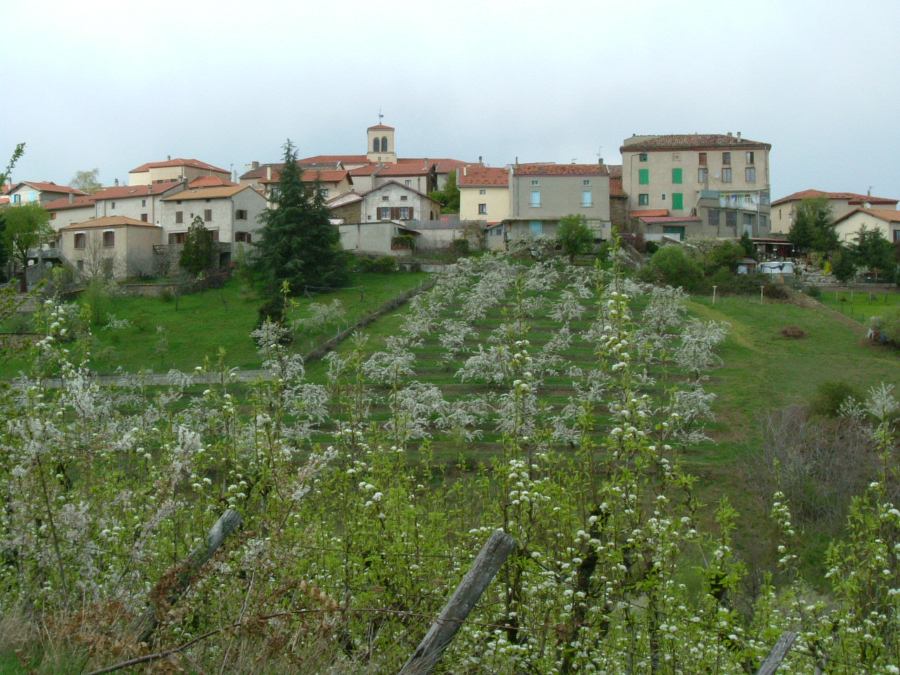 DSCF0700