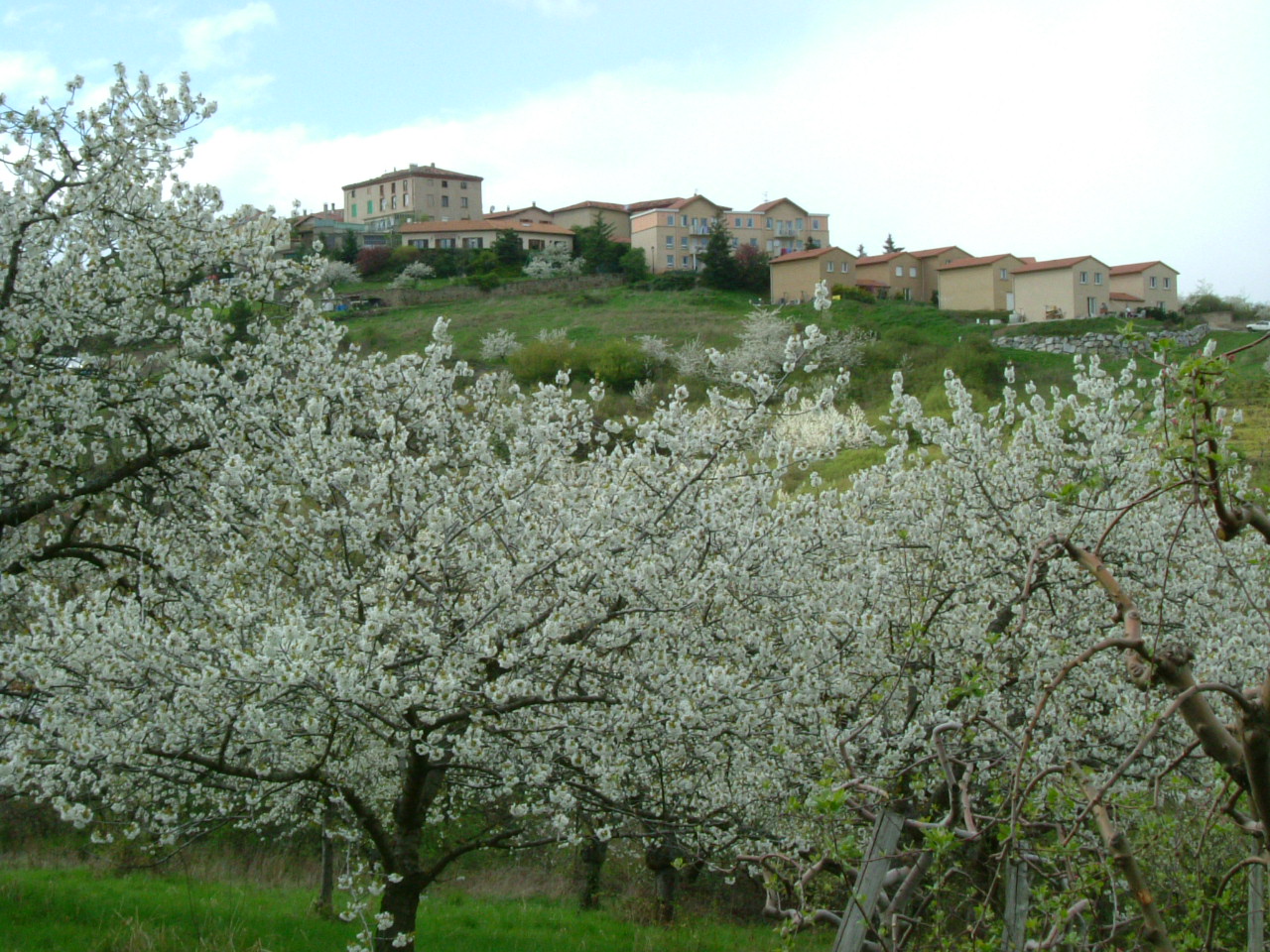DSCF0701
