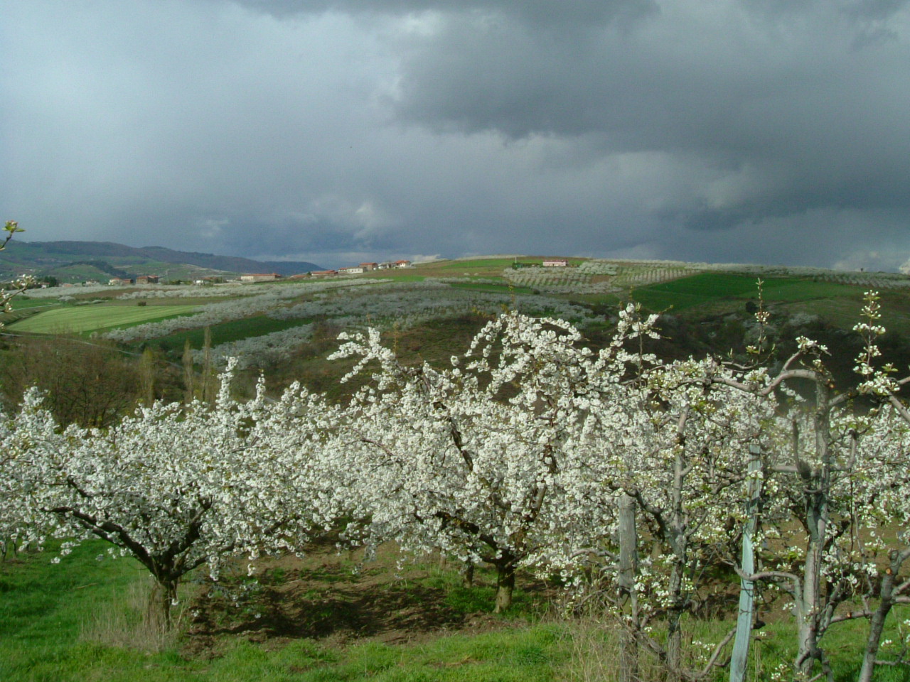 DSCF0706