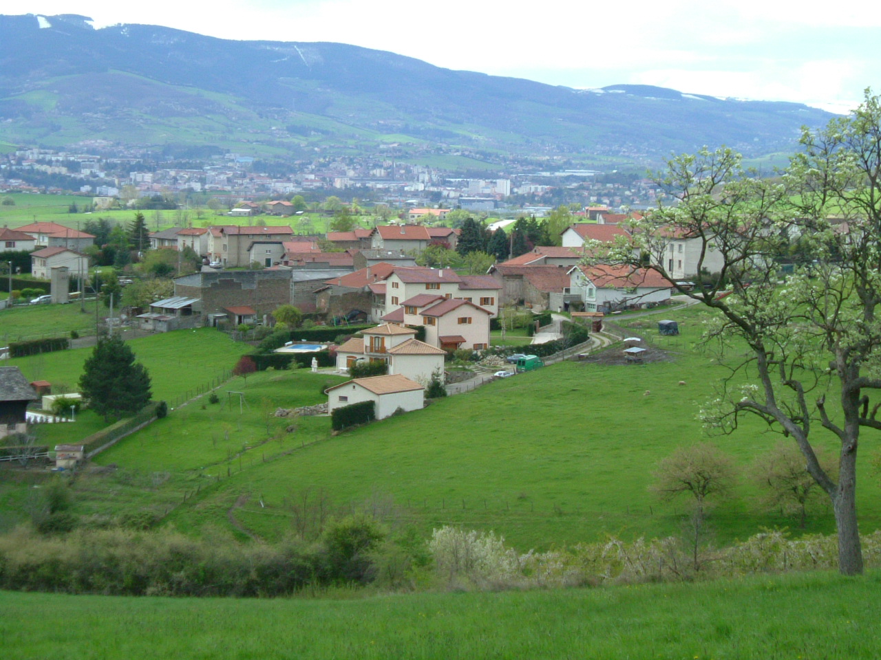 DSCF0713