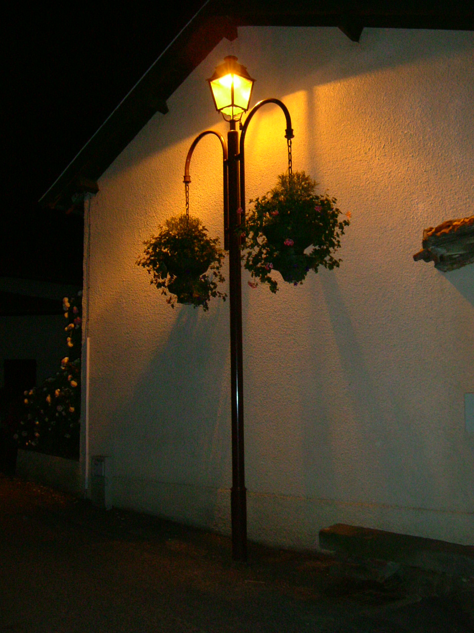 DSCF1021