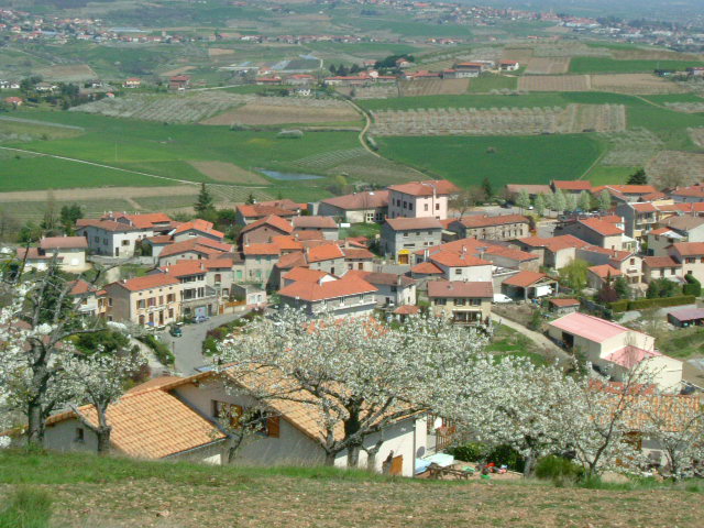 DSCF2306