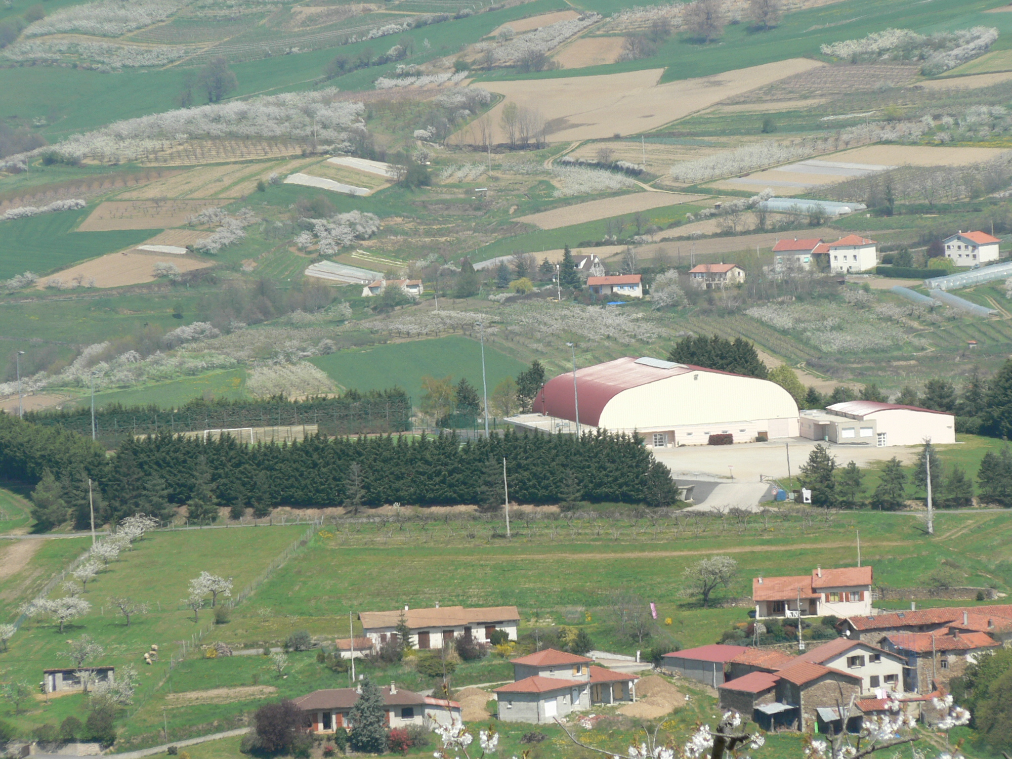 P1020041