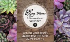 Ripa fleurs