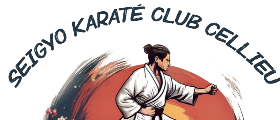 SEIGYO KARATE CLUB DE CELLIEU